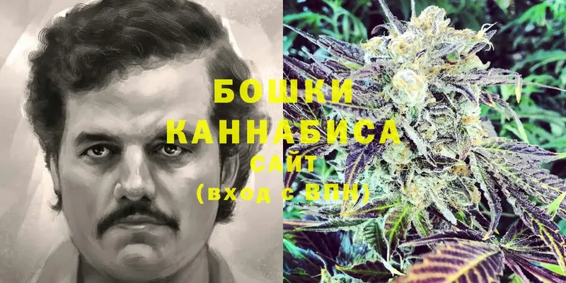 Каннабис SATIVA & INDICA  Полевской 